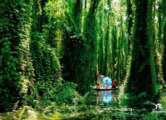 dai-ly-nuoc-quan-can-gio