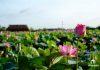 Đại lý nước Quận 9
