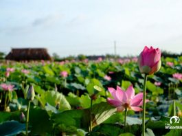 Đại lý nước Quận 9