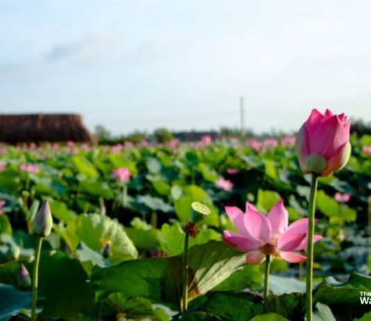 Đại lý nước Quận 9
