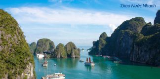 Top 10 đại lý giao nước uy tín nhất Quảng Ninh